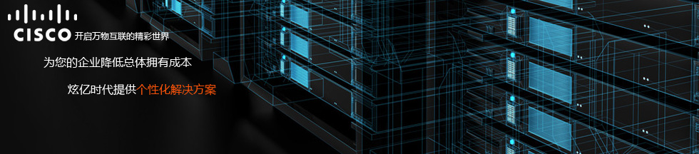 思科企業(yè)個(gè)性化解決方案